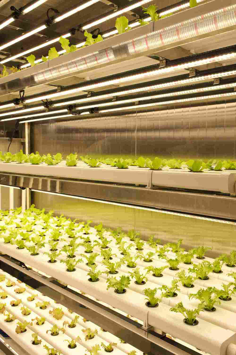 1765555867841053.jpg 1765555867841053.jpg