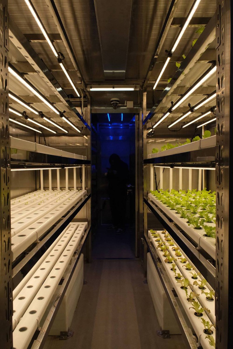 1765557004427145.jpg 2.jpg